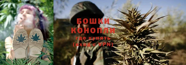 эйфоретик Белокуриха