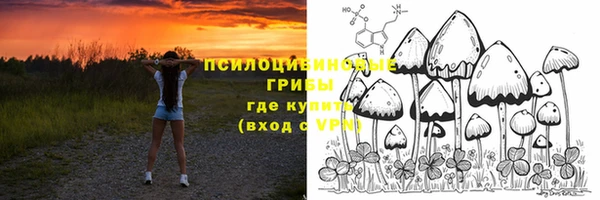 эйфоретик Белокуриха
